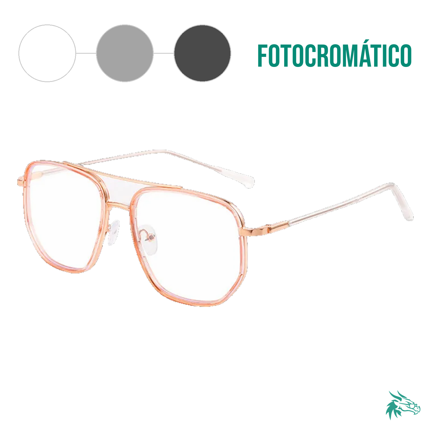 Rose Gold / Fotocromático Gris