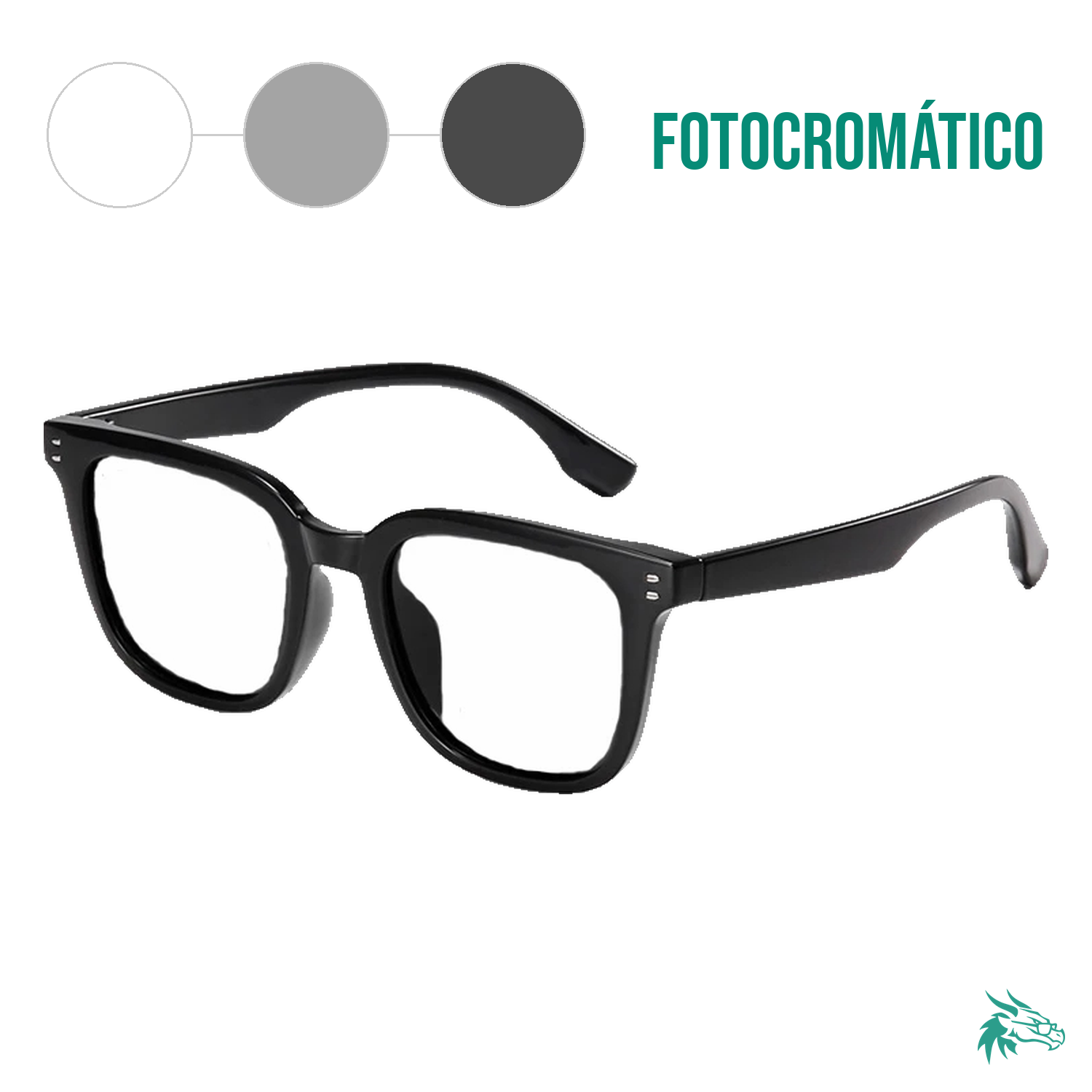 Negro / Fotocromático Gris