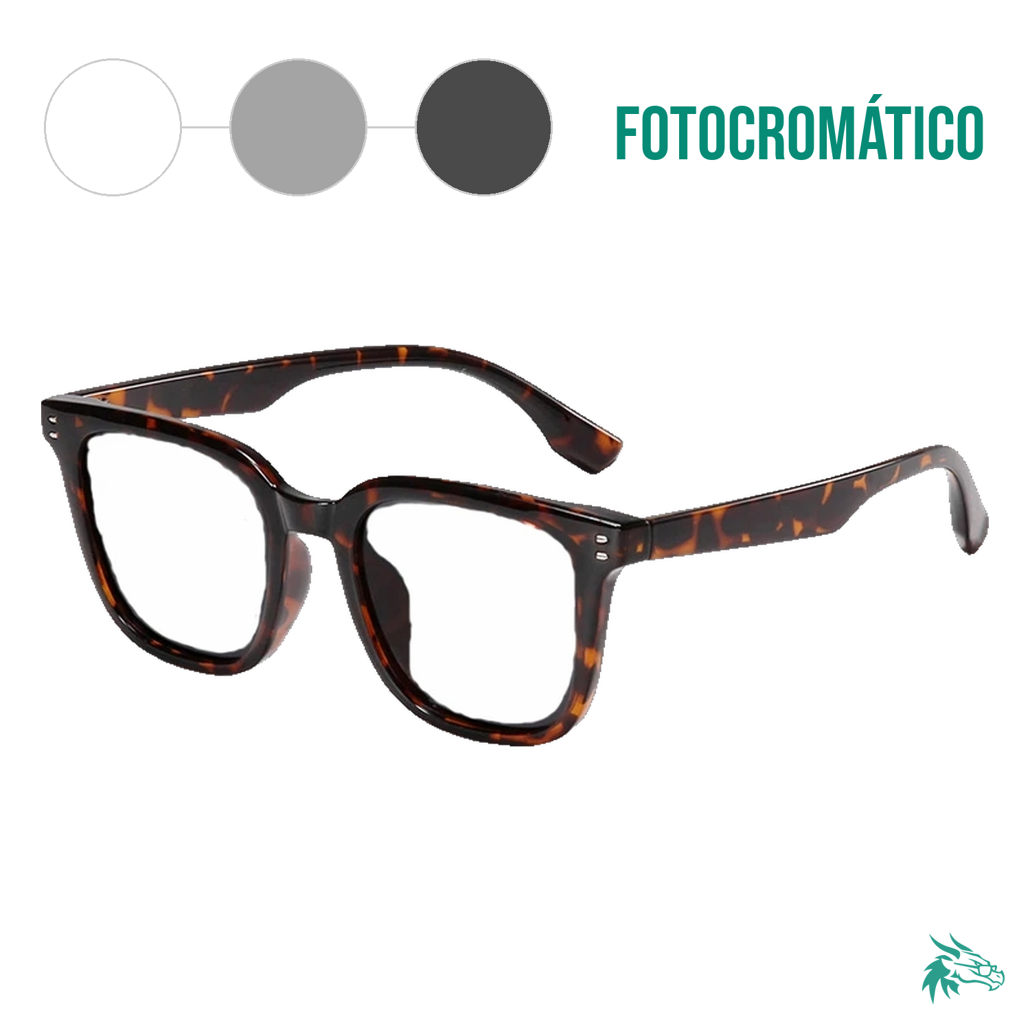 Tortoise / Fotocromático Gris