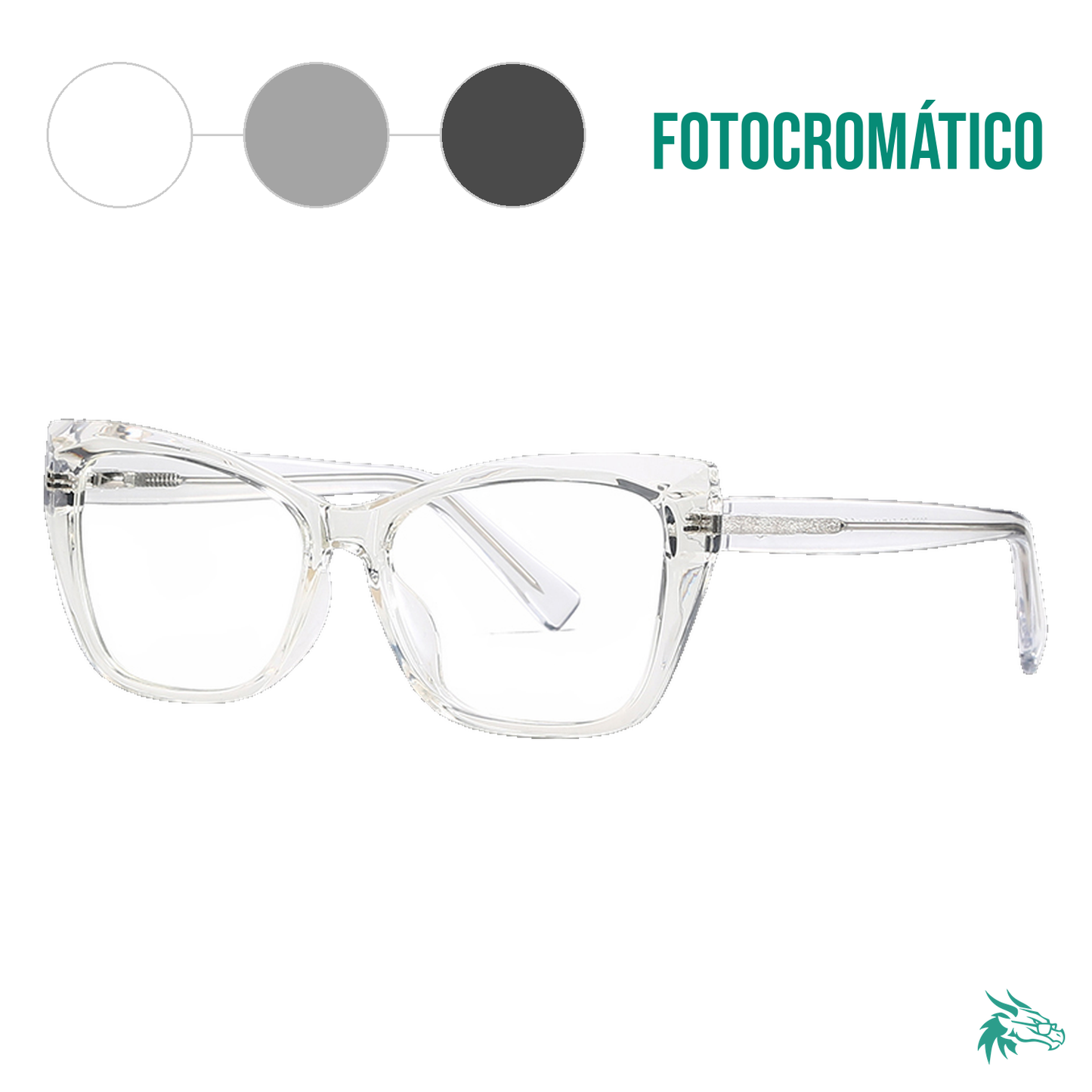 C2 / Fotocromático Gris