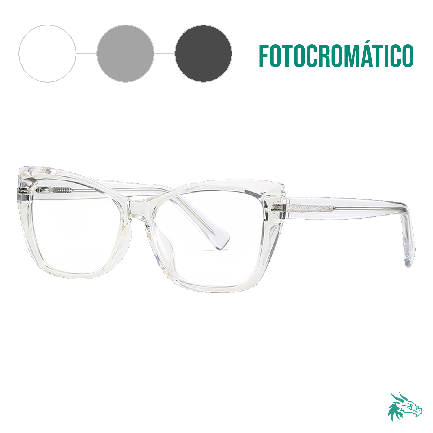 C2 / Fotocromático Gris