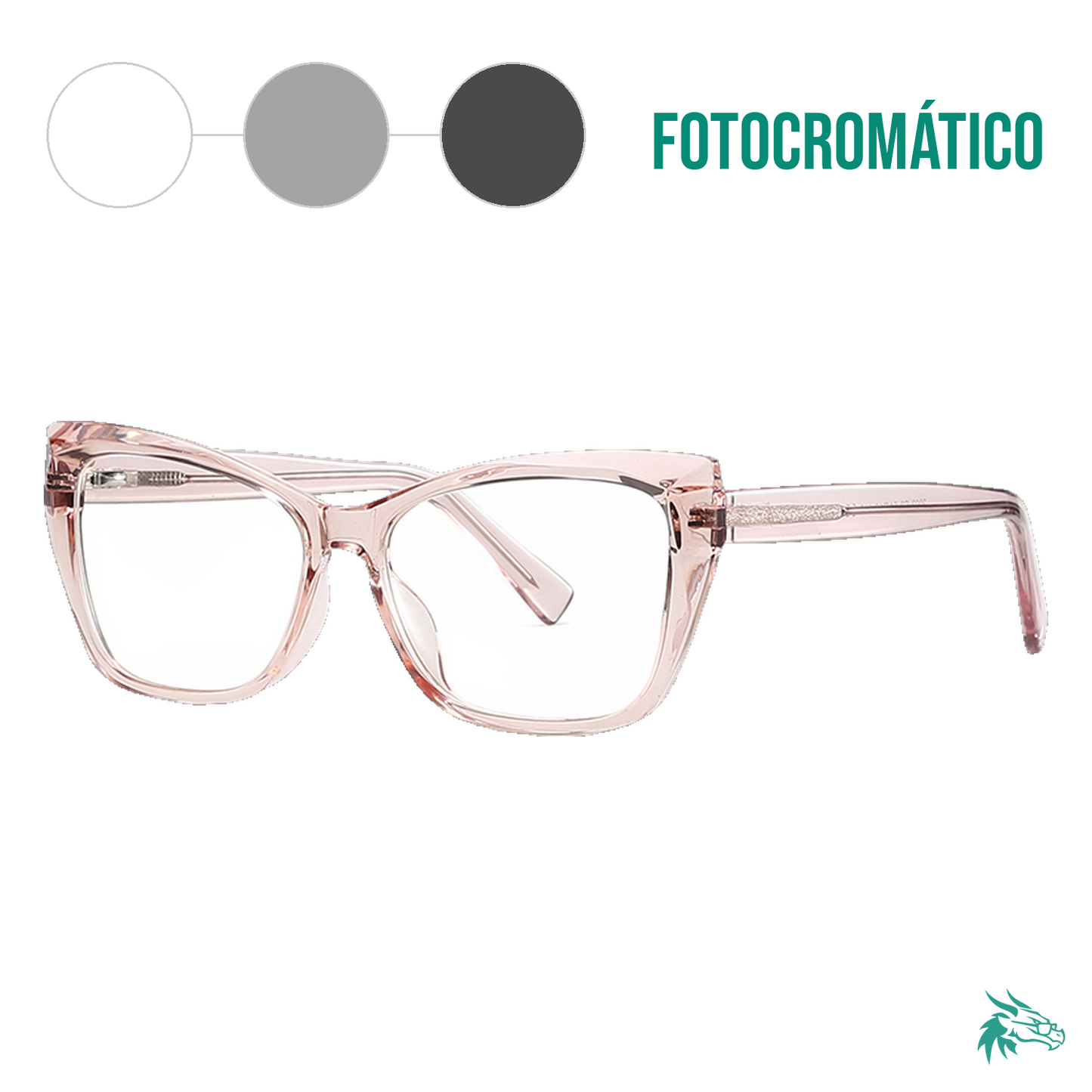 C3 / Fotocromático Gris