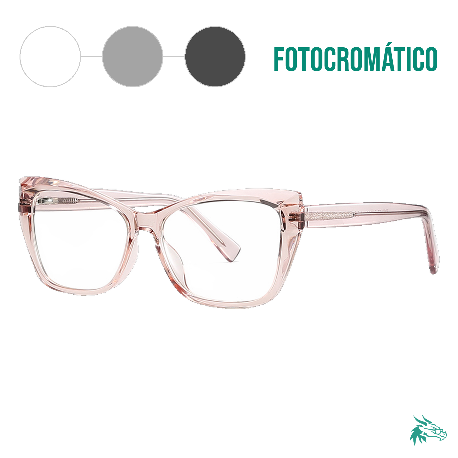 C3 / Fotocromático Gris