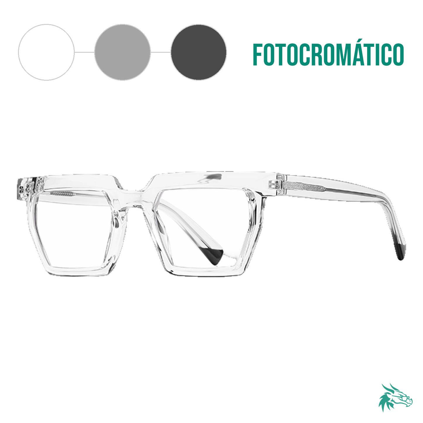 C2 / Fotocromático Gris
