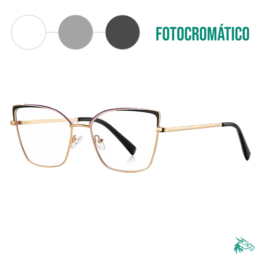 C1 / Fotocromático Gris