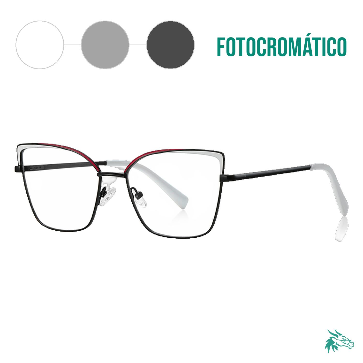 C5 / Fotocromático Gris