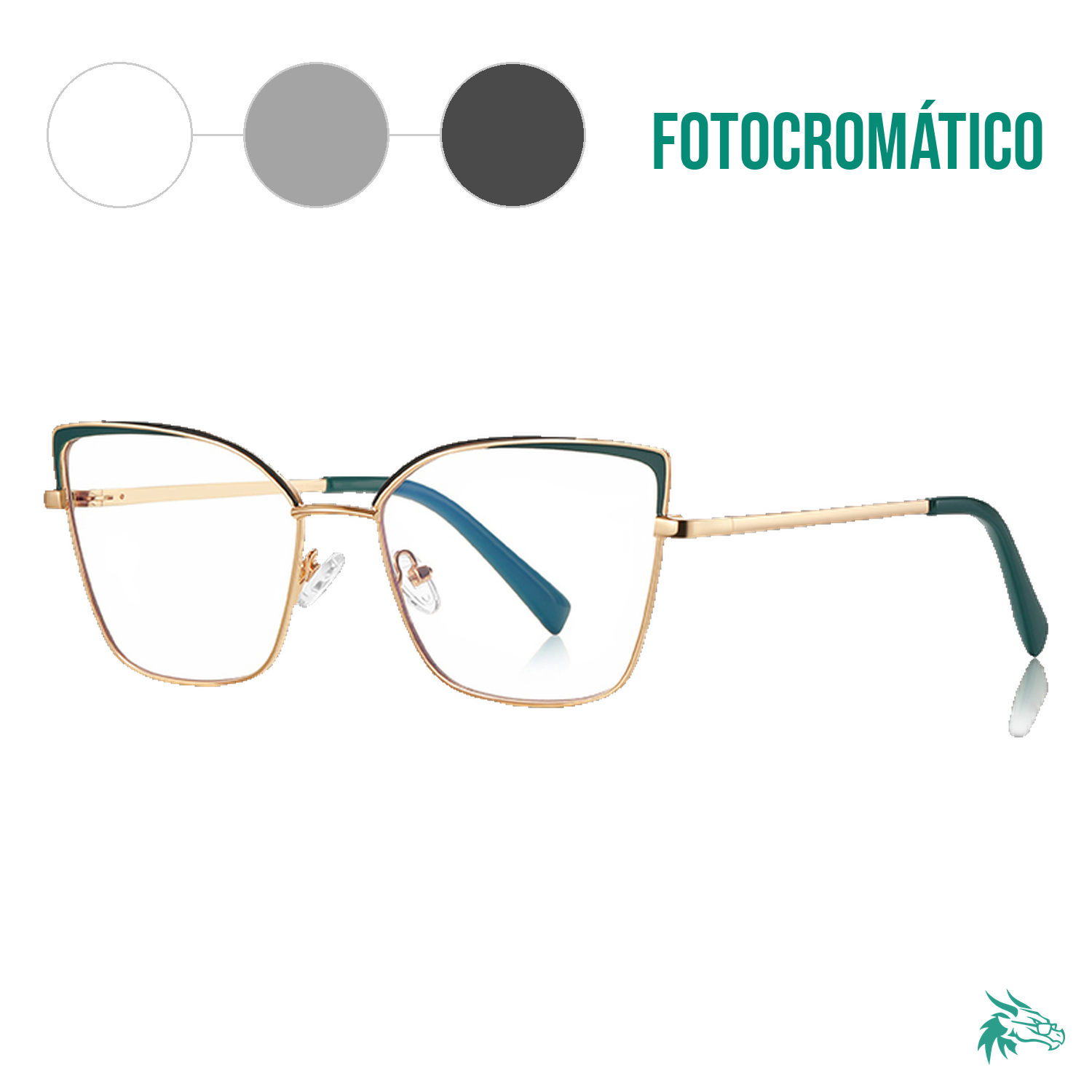 C6 / Fotocromático Gris