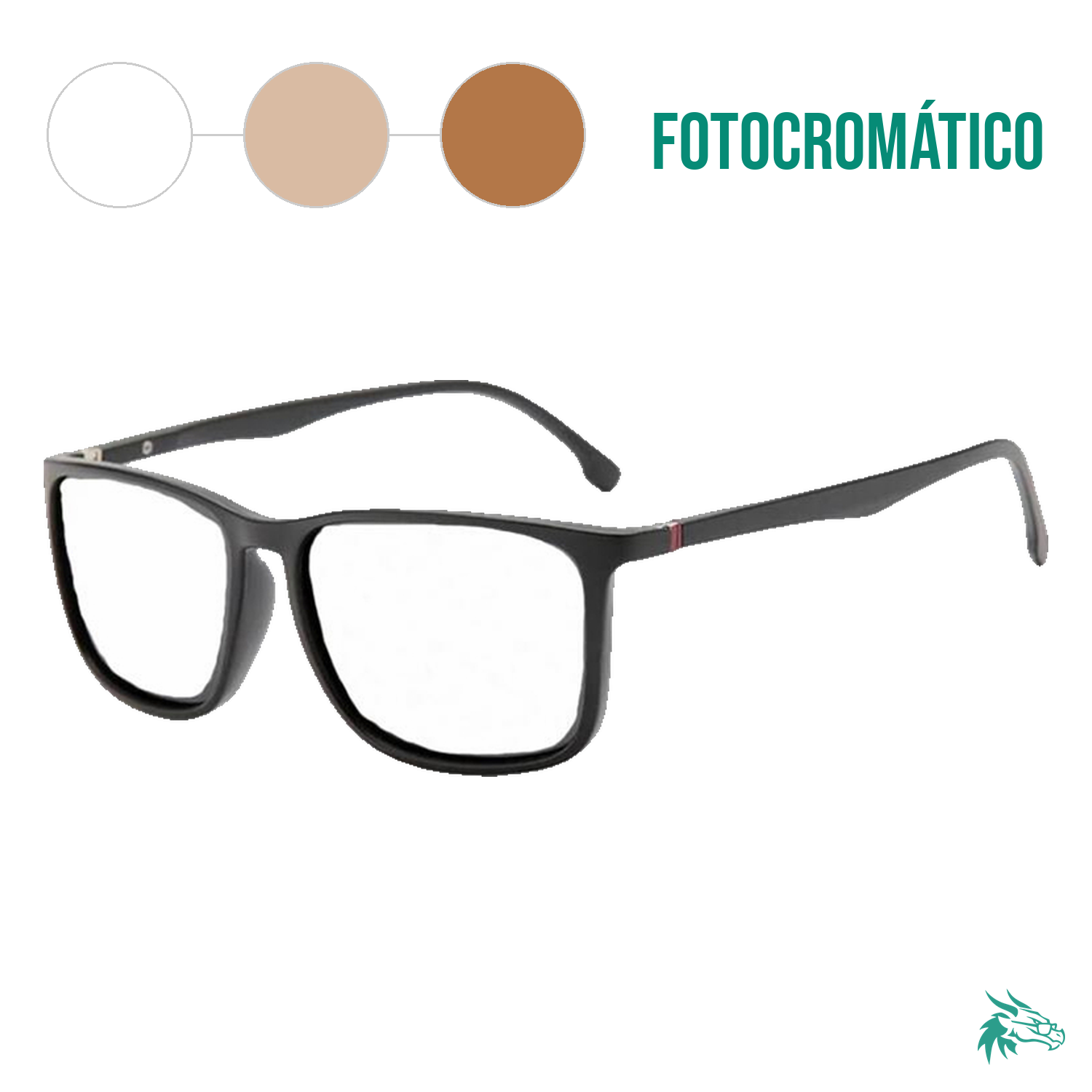 Matte Tea Black / Fotocromático Café