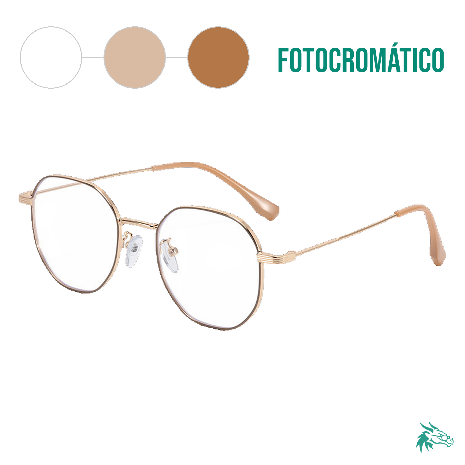 C2 / Fotocromático Café