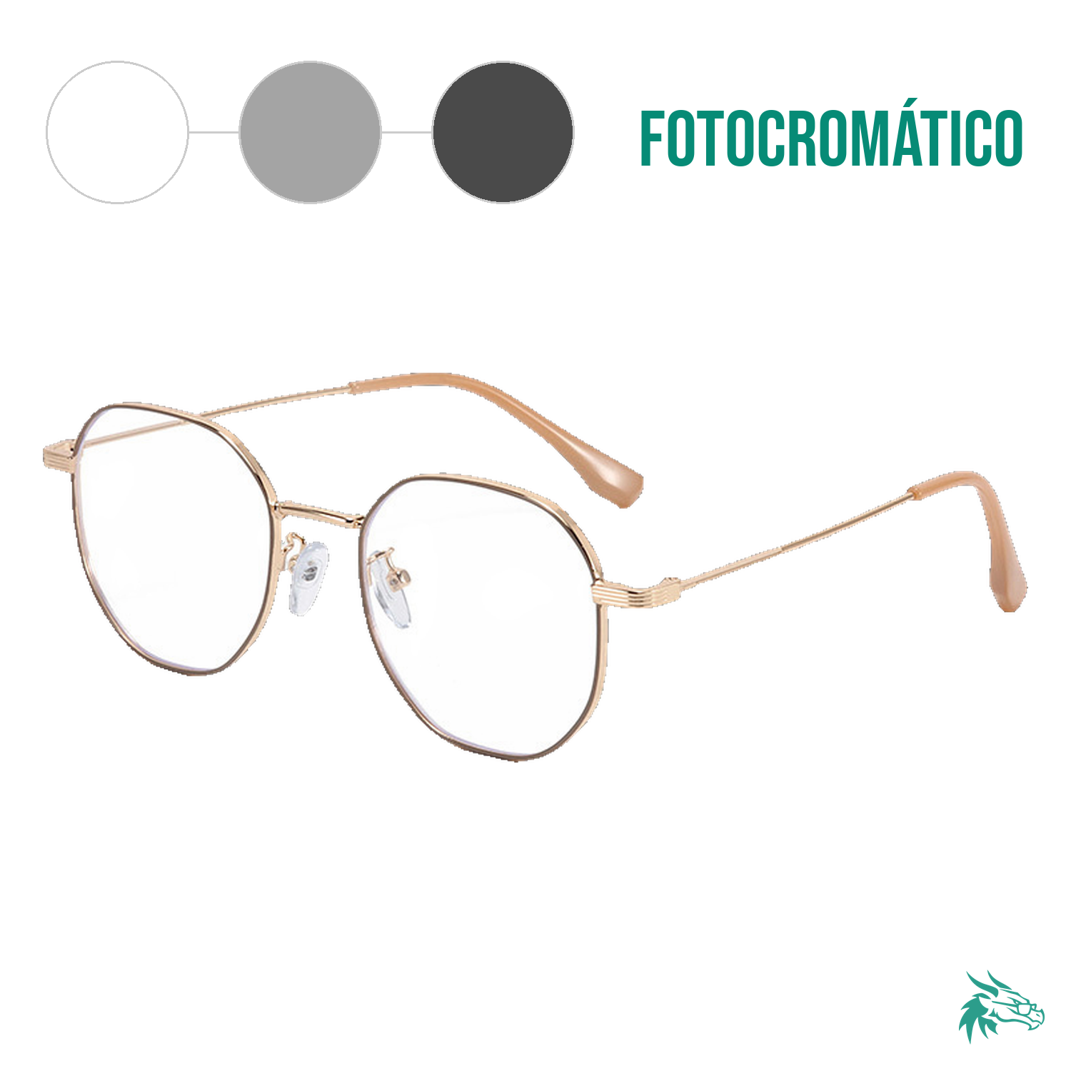 C2 / Fotocromático Gris