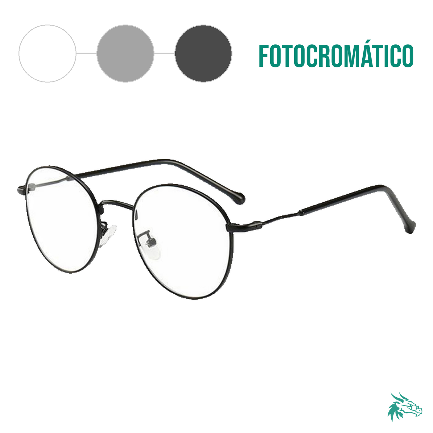 Black / Fotocromático Gris